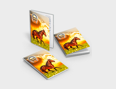 Caderno com Espiral Capa Maleável 20x27,5 96 folhas 4x0 Couchê 300g Laminação Fosca - 4x0 - 3 unid