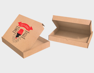 Caixa de Papelão Personalizada - 31x24x4cm - 4x0 - 25 unid