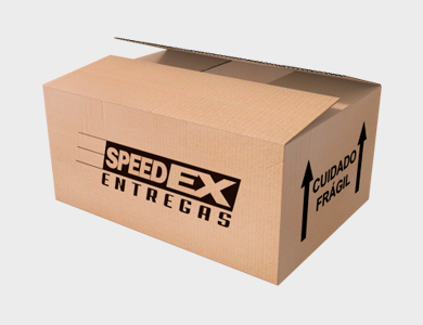 Caixa de Papelão Personalizada Nº 05 - 30,5x21,2x13cm - 4x0 - 100 unid