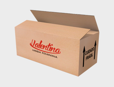 Caixa de Papelão Personalizada PEQUENA - 46,3x20,6x18,5cm - 4x0 - 25 unid