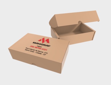 Caixa de Papelão Personalizada 300 - 2 L para 500 Cartões de Visita - 4x0 - 100 unid